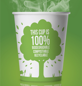 Sustainable Packaging Innovations: Trends to Embrace in 2024