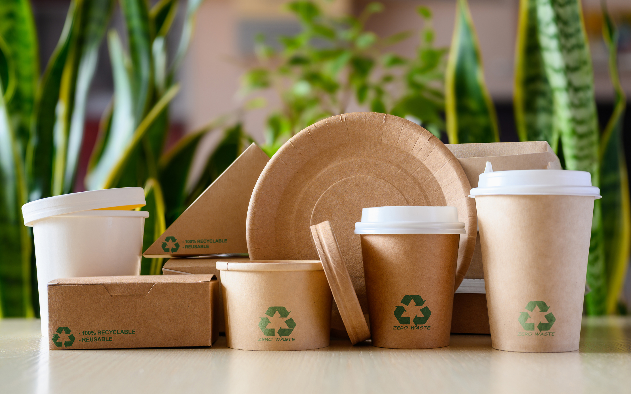 Sustainable Restaurant Packaging: The Power of Paper in Modern Dining